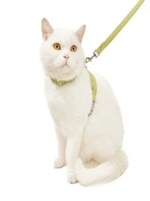 1pc Dog/Cat Harness Leash, Vest Type Puppy Chest Strap For Small Dogs, Teddy, Poodle