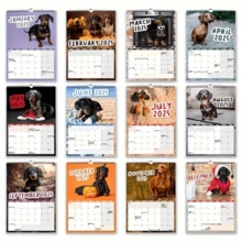 1 件 2025 年 Cheeky Dachshunds 挂历，英语，纸质材料 - 月视图狗主题组织者 - 臘腸狗 - 查看 2