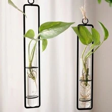 1pc Decorative Wall Mounted Living Room, Creative Glass Vase, Green Ivy Plant, Wall Mounted Hydroponic Container, Wall Decoration Room Decors Garden Decor Wedding Decor Home Decors