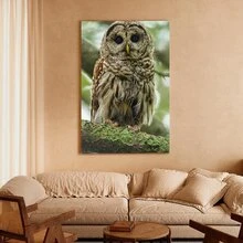 1pc Framed Canvas Poster, Owl Wall Art Canvas Paintings, Ideal Gift For Bedroom Living Room Corridor, Wall Art, Room Decoration - 彩色 - 查看 2
