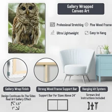1pc Framed Canvas Poster, Owl Wall Art Canvas Paintings, Ideal Gift For Bedroom Living Room Corridor, Wall Art, Room Decoration - 彩色 - 查看 6