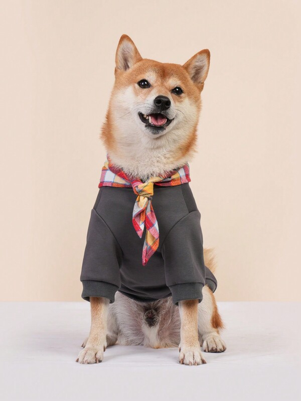 Roupas para animais de estimação, moletom com gola redonda para animais de estimação, cor sólida, adequado para gatos médios e grandes, gatos e cães, moletom macio, confortável e elástico