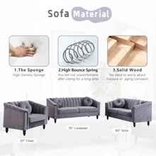 Chesterfield Sofa Set, Luxurious Velvet Chesterfield Settee Couch Set,Sofa And Loveseat Set,Upholstered Rolled Arm With Rivets/4 Button Tufted Pillow Modern Sofa Living Room Set - Grey - View 5