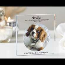 Moldura de foto personalizada para cachorro, lembrança para foto em memória de gato, lembrança para animal de estimação, moldura de foto personalizada para cachorro, placa de acrílico, dia dos namorados, decoração para dia dos namorados, presentes de aniversário e formatura