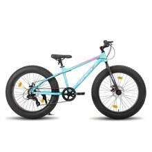 Hiland Roon 24/26 Pulgadas Fat Tire Bicicleta de Montaña para Adolescentes y Adultos, MTB con Shimano 7-Velocidades, Freno de Doble Disco, Bicicleta de Playa y Nieve (Verde, Azul, Blanco y Plata)