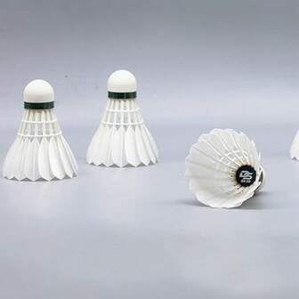 5个慢速羽毛球训练用球，适合家庭娱乐