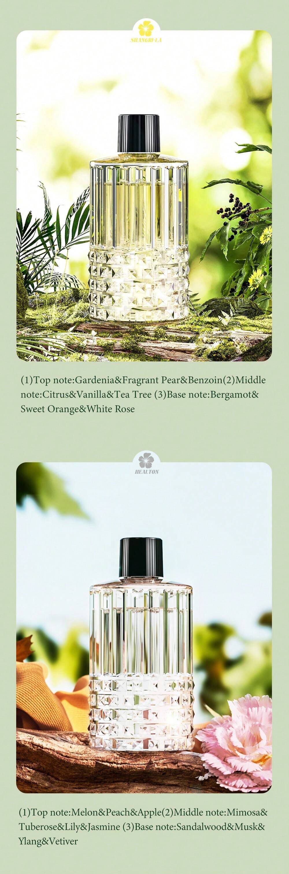 Diffusore Aromi Per Auto THAELY - Ricaricabile Con 50ml | Aromaterapia In Macchina - Foto 9