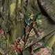 橄欖綠