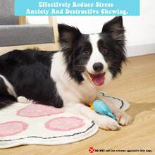 MewaJump 2 件耐用狗狗吱吱叫玩具，牙齿互动咀嚼玩具，适合小型犬玩耍和牙齿护理 - 彩色 - 查看 7