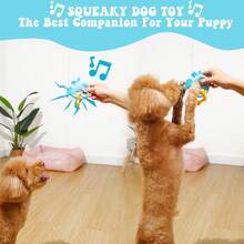 MewaJump 2 件耐用狗狗吱吱叫玩具，牙齿互动咀嚼玩具，适合小型犬玩耍和牙齿护理 - 彩色 - 查看 6