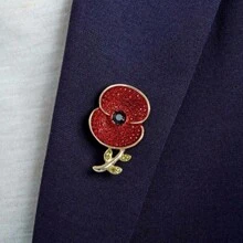 Rote Emaille Strass Kristall Diamant Mohn Brosche, Halloween Accessoires, Lehrertag, Weihnachtsgeschenk