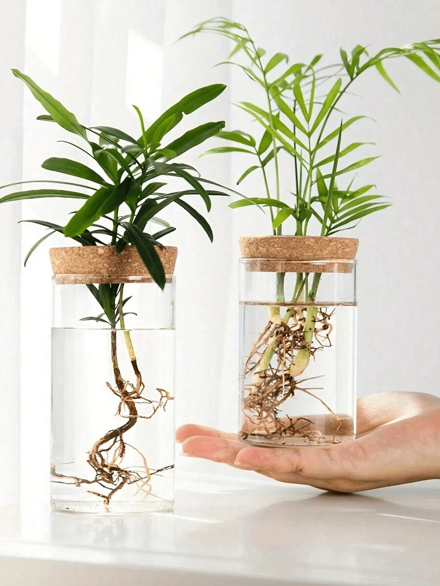 1 件，水培植物桌面玻璃花盆花瓶，用于家居装饰，植物繁殖站芽花瓶，桌面水培植物花瓶，用于客厅桌子装饰厨房办公室万圣节 - 透明 - 查看 1