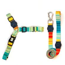 Anti-Pull Dog Harness With 1.20m Standard Leash - Màu vàng - Xem 1