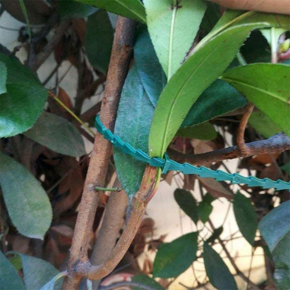 30pcs Green Plastic Fish Bone Plant Ties, MultiPurpose Gardening Twist