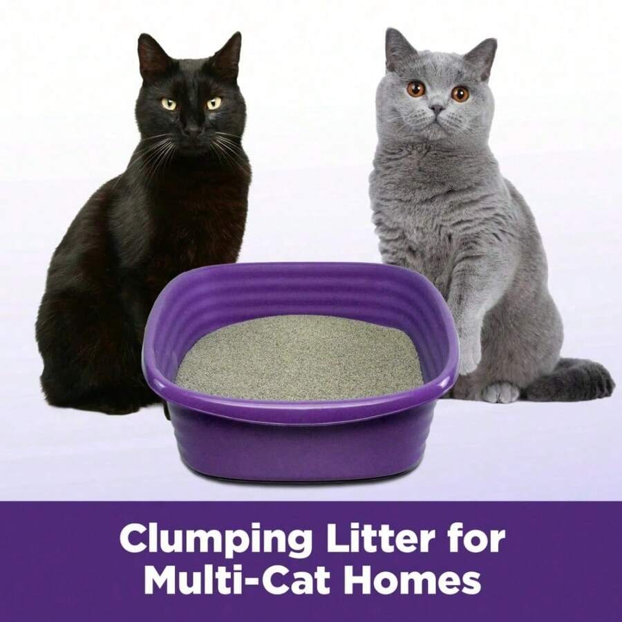 Clump & Seal SLIDE Cat Litter, Easy CleanUp MultiCat Clumping Litter