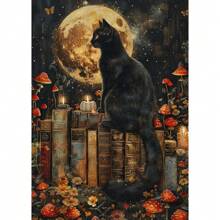 1 件复古优雅女士读书阅读女人帆布画墙艺术海报乡村风格黑暗学院女孩房间家居装饰画无框