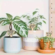 5 tấm biển gỗ thú vị kết hợp nhiều loại cây với nhiều chữ cái khác nhau, phù hợp với cây mọng nước, cây xanh, nhãn cây bằng gỗ chống thấm nước, đồ dùng sân trong nhà và ngoài trời, quà tặng trang trí chậu hoa cây cảnh - Màu gỗ - Xem 5
