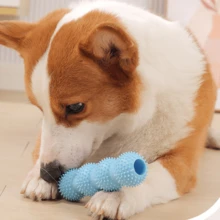 2 件装宠物猫狗食物分配咀嚼玩具，宠物狗磨牙棒拼图玩具 - 藍色 - 查看 1