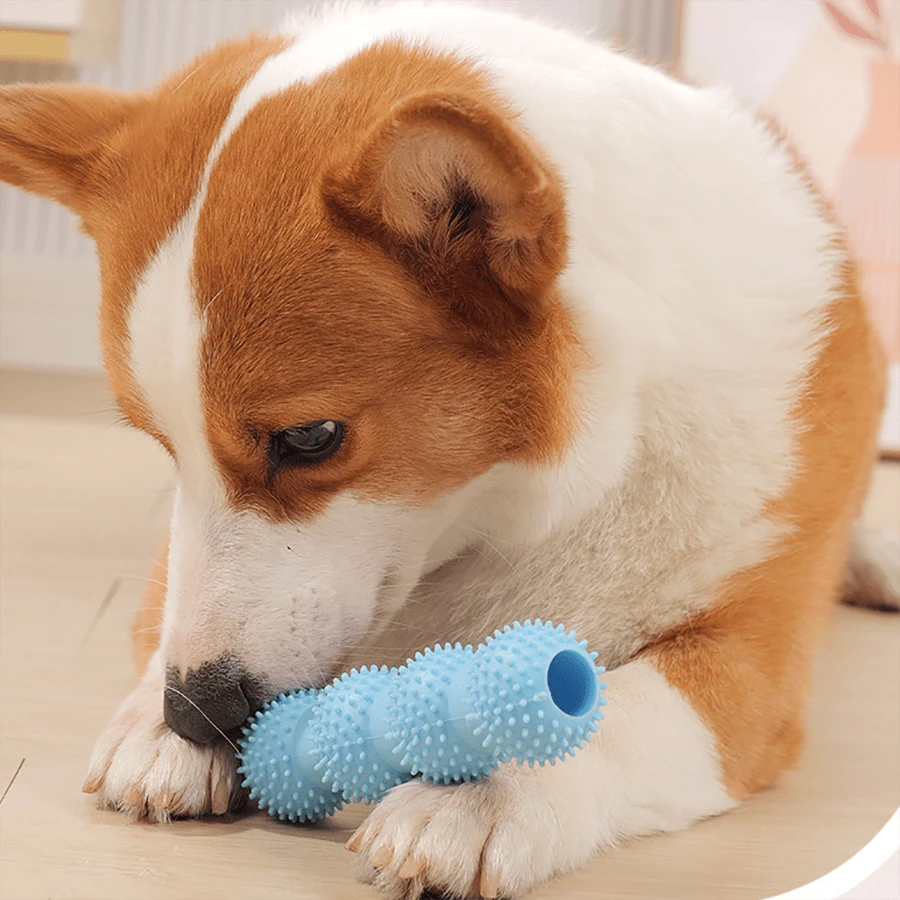 2 件装宠物猫狗食物分配咀嚼玩具，宠物狗磨牙棒拼图玩具 - 藍色 - 查看 1