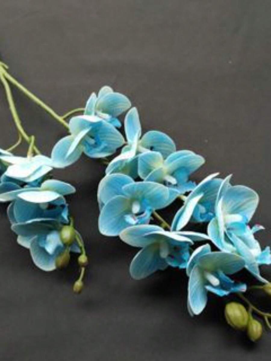 Silicone Orchid Branch - RS722 - Màu xanh lam - Xem 1