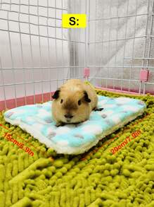 1 tấm thảm nhung san hô cho Hamster/Bunny, màu ngẫu nhiên, dùng được cho mọi mùa - Nhiều màu - Xem 4