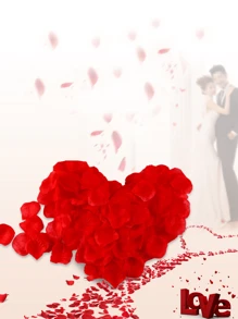 3000片人造玫瑰花瓣，无纺布材质，适用于求婚派对、情人节装饰、婚礼装饰、室内装饰、周年纪念装饰、母亲节装饰、毕业派对装饰、家居装饰等。