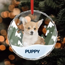 1pc Custom Photo Pet Face Personalized Round Shaped Crystal Glass Ornament Gift For Dog Lovers, Cat Lovers, Pet Lovers, Pet Memorial Gifts Birthday Graduation