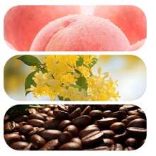 White Peach Cream/Jasmine Clear Tea/Frozen Oolong/Cedar Mist Solid Fragrance With Fresh Charm And Elegant Charm, Keeping Fragrance With You, Refreshing And Non Sticky Solid Fragrance - 白桃 - 查看 6