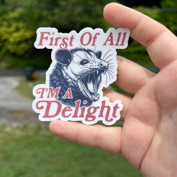 Adesivo de gambá de 3 polegadas First Of All I'm A Delight | Adesivo engraçado, adesivo para garrafa de água, adesivo para laptop, decalque de vinil divertido compatível com iPad, Kindle, garrafa de água, livros, cadernos, diários, fichários, escrivaninhas, espaços de estudo, decoração de dormitório - ótimo para estudantes universitários
