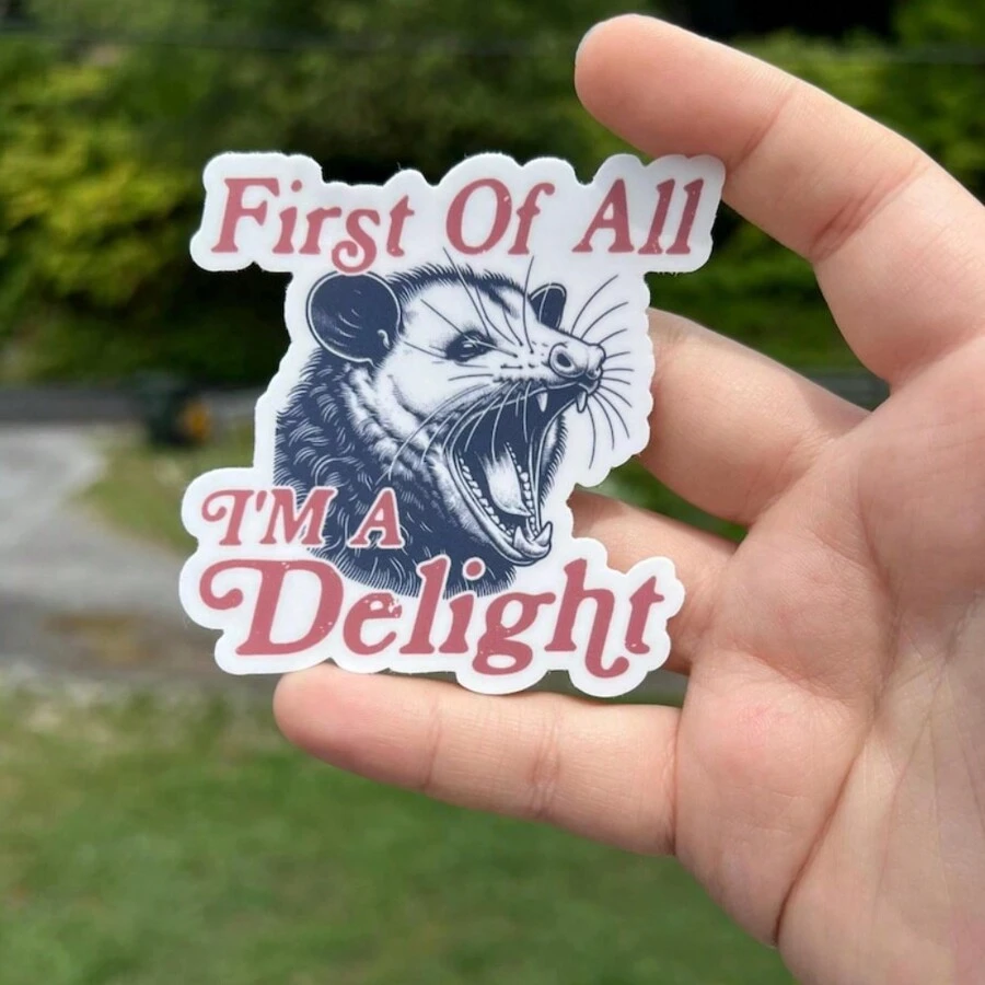 3 英寸 First Of All I'm A Delight Possum 贴纸 | 趣味贴纸、水瓶贴纸、笔记本电脑贴纸、俏皮乙烯基贴花，兼容 Ipad、Kindle、水瓶、书籍、笔记本、日记本、活页夹、书桌、学习空间、宿舍装饰 - 非常适合大学生 - 彩色 - 查看 1