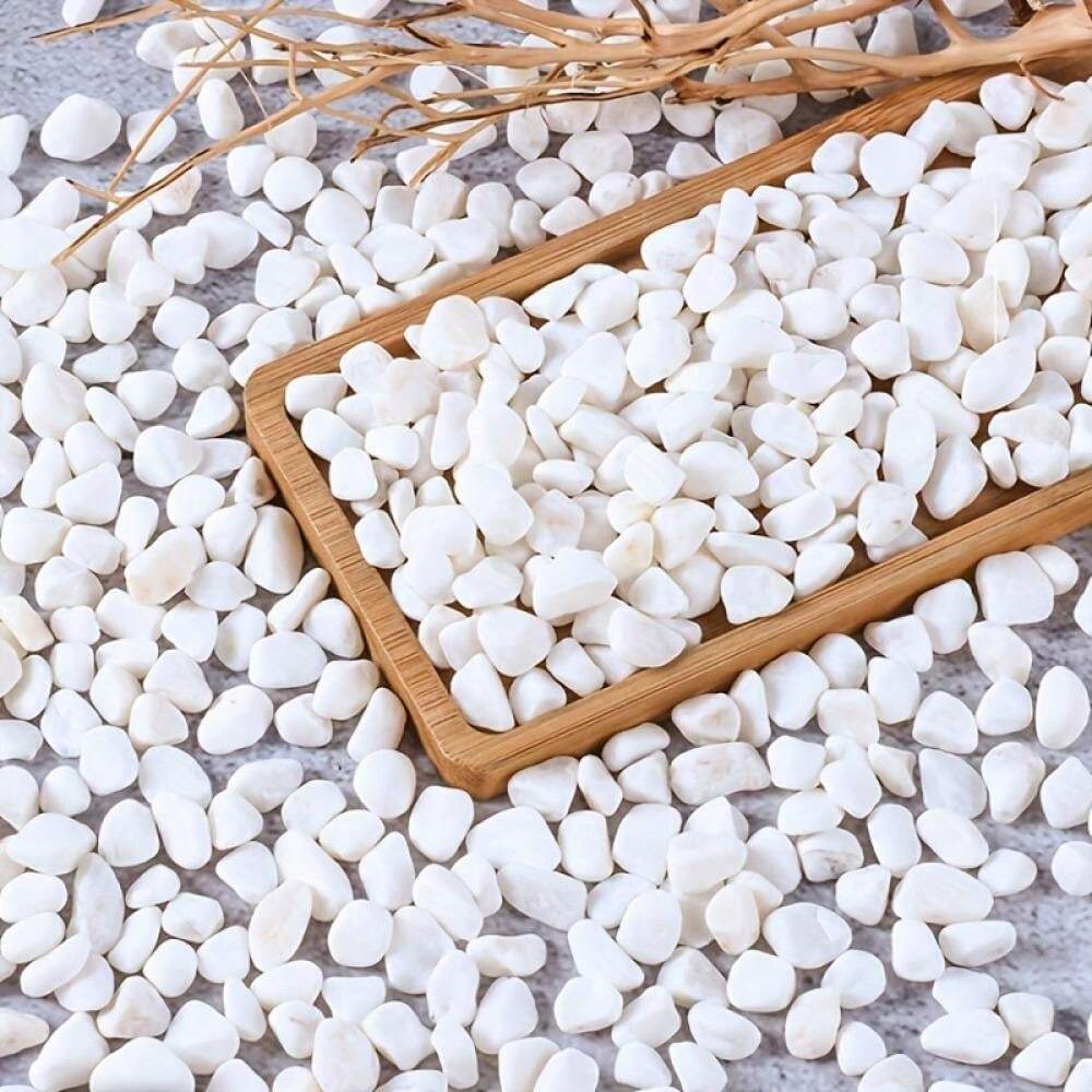Galets Plats à Peindre - Lot De 12 Pierres Naturelles 3-8 Cm - Pour DIY, Décoration Aquarium, Jardin, Peinture Sur Pierre - 3