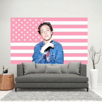 1 件，Ethan Cutkosky 2024 粉色卡尔国旗挂毯，耐用涤纶，室内和室外装饰，带四个黄铜索环，适用于大学房间装饰