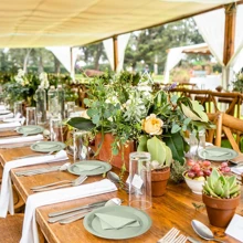 10 件/20 件鼠尾草绿色派对用品鼠尾草绿色纸盘杯子餐巾餐具套装适用于婚礼新娘送礼会生日周年纪念订婚派对装饰品