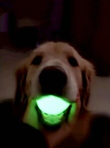 夜间发光跳跳球，狗宠物球，耐咬玩具球，大中小型犬磨牙训练玩具球（本产品为弹性球，本身不发光。 - 彩色 - 查看 11