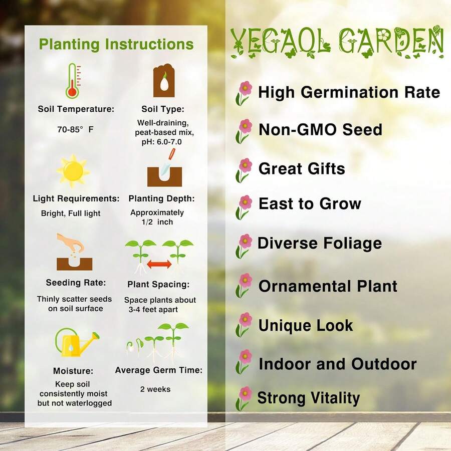 20Pcs Dwarf Lemon Tree Seeds For Planting NonGMO Heirloom Fruits Seeds