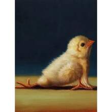 1 件有趣的动物运动海报和印刷品可爱瑜伽鸡复古墙壁艺术有氧运动姿势帆布画健身房无框架、家居装饰、房间装饰、墙壁装饰 - 彩色 - 查看 32