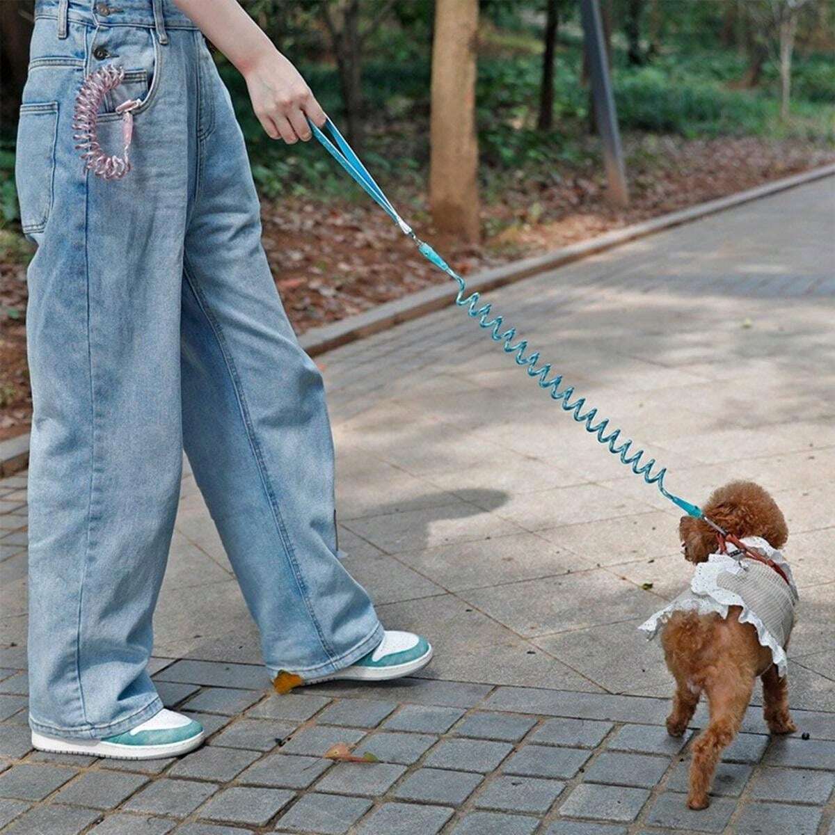 Stretchable Pet Dog Leash, Reflective Shock Absorbing Anti-Pull ...