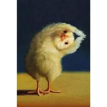 1 件有趣的动物运动海报和印刷品可爱瑜伽鸡复古墙壁艺术有氧运动姿势帆布画健身房无框架、家居装饰、房间装饰、墙壁装饰 - 彩色 - 查看 20