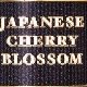 Japanese Cherry Blossom