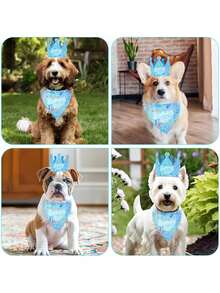 3 件/1 套完整宠物生日派对套装 - 节日狗帽、头巾和横幅套装，适合从小型到大型犬种 - 可机洗涤纶 - 彩色 - 查看 7