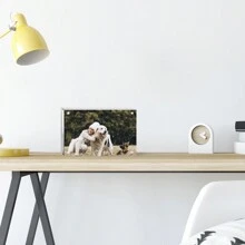 2/3/5PCS Picture Frames Acrylic Frames, 20mm Thicker Lucite Frameless Clear Floating Frames, Magnetic Double Sided Photo Frame, Free Standing Desktop