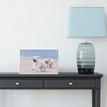 2/3/5PCS Picture Frames Acrylic Frames, 20mm Thicker Lucite Frameless Clear Floating Frames, Magnetic Double Sided Photo Frame, Free Standing Desktop
