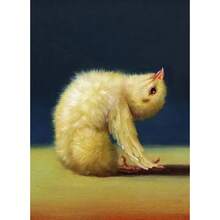 1 件有趣的动物运动海报和印刷品可爱瑜伽鸡复古墙壁艺术有氧运动姿势帆布画健身房无框架、家居装饰、房间装饰、墙壁装饰 - 彩色 - 查看 41