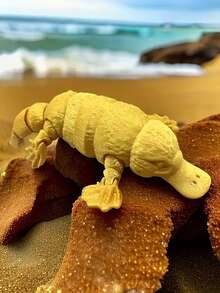 1 件可摆姿势的鸭嘴兽雕像 - 桌面和汽车装饰，3D 打印柔性关节动物模型，适合所有场合的耐用礼物 - 无需电力，无羽毛，适合圣诞节装饰