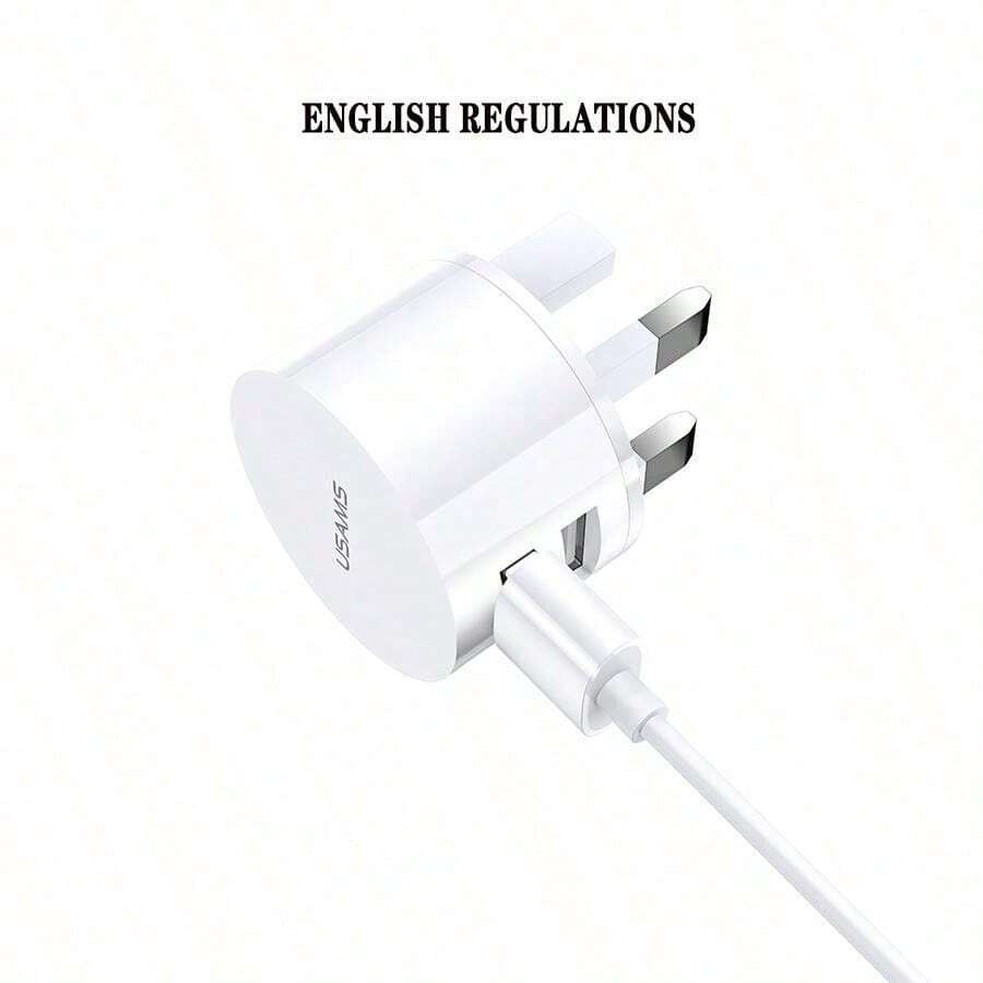 1 个双 USB 5V 1A 电源适配器，手机充电器插头 - 欧盟/英国/美国插头类型