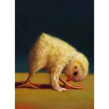 1 件有趣的动物运动海报和印刷品可爱瑜伽鸡复古墙壁艺术有氧运动姿势帆布画健身房无框架、家居装饰、房间装饰、墙壁装饰 - 彩色 - 查看 37