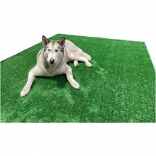 Synthetic Grass Rug (2m²) 200cm X 100cm Decoration 12mm - 綠色 - 查看 8
