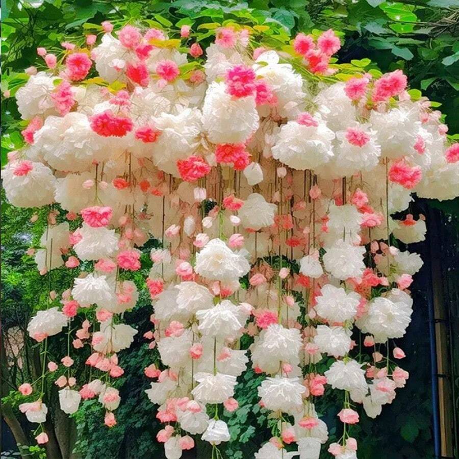 Hanging Silk Crabapple Flower Seeds, Seeds, Climbing Vines, Plants That