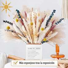 SHIXIONG 100pcs Natural Dried Pampas Grass Bunch,Bohemian Style Dried Reed Eucalyptus,Natural Dried Wheat Spikes Craft Bouquet For Floral Arrangements,Home And Wedding Decoration - 米色 - 查看 6