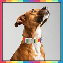 1 件彩色狗项圈，适合小型、中型和大型犬，快速释放安全扣，耐用透气，柔软舒适的狗项圈，适合公狗、母狗、婚礼小狗生日礼物，彩虹色狗项圈，适合公狗、母狗 - 彩色 - 查看 5